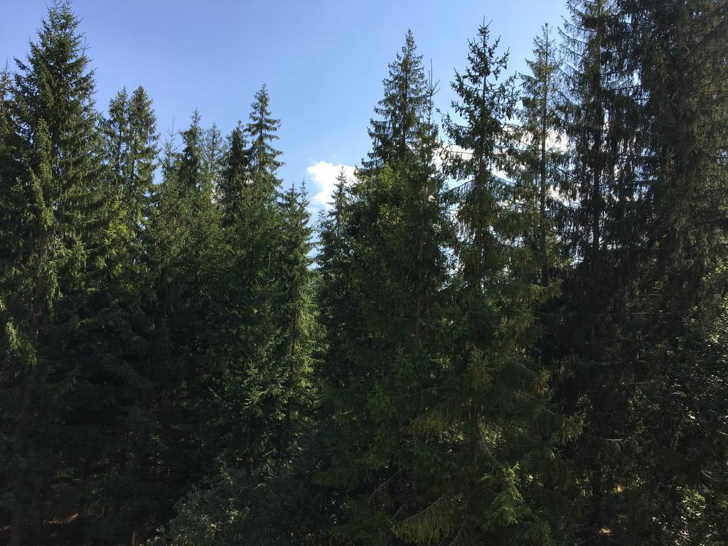 Apartmenty Patris Tatranska Strba Buitenkant foto