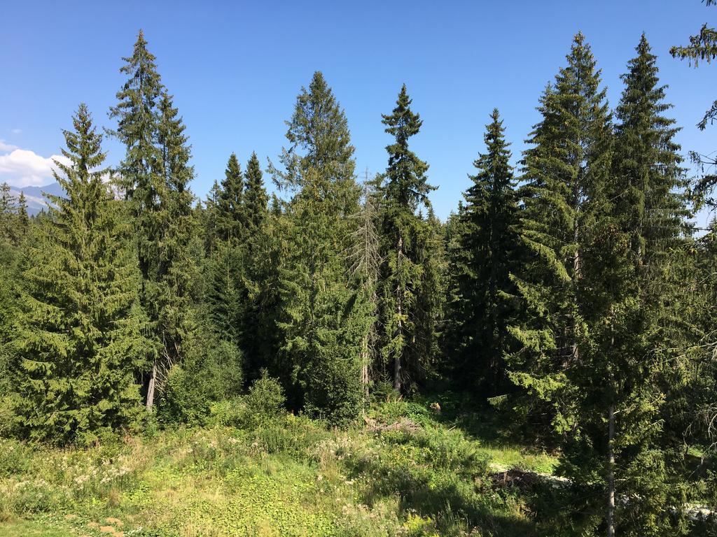 Apartmenty Patris Tatranska Strba Buitenkant foto