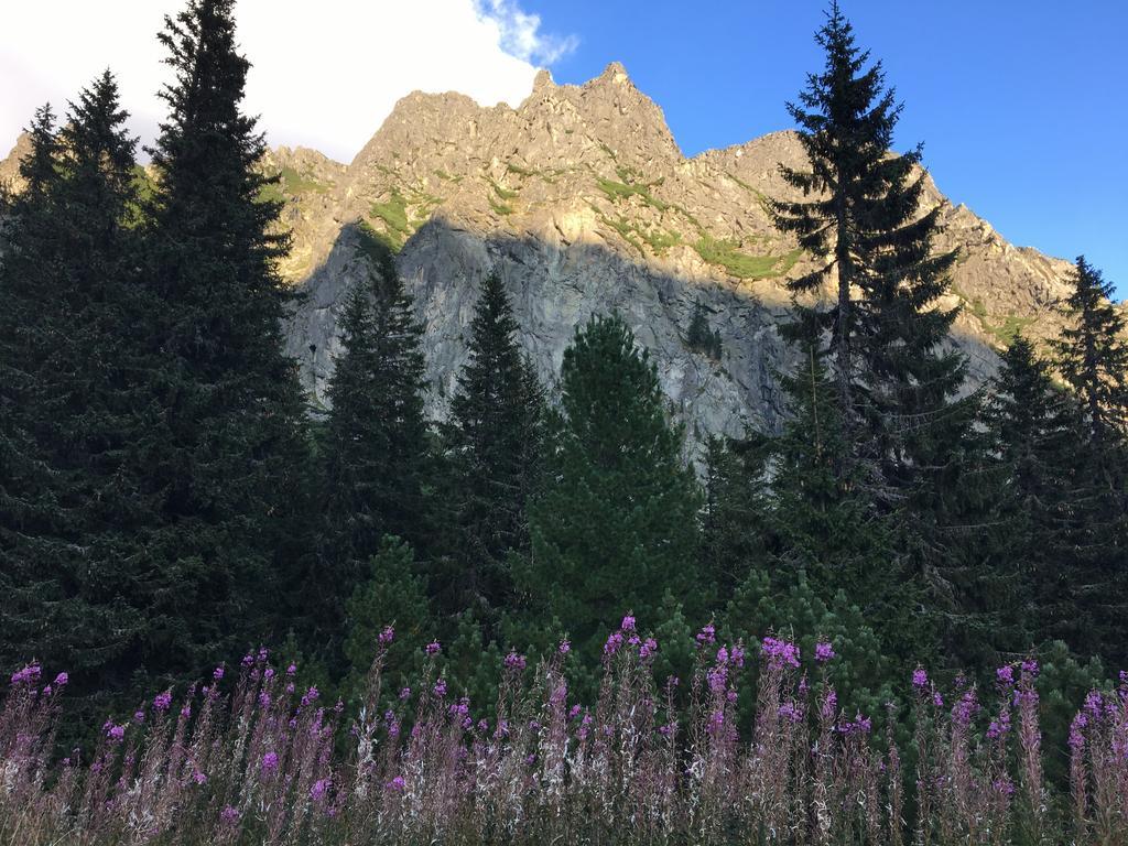 Apartmenty Patris Tatranska Strba Buitenkant foto