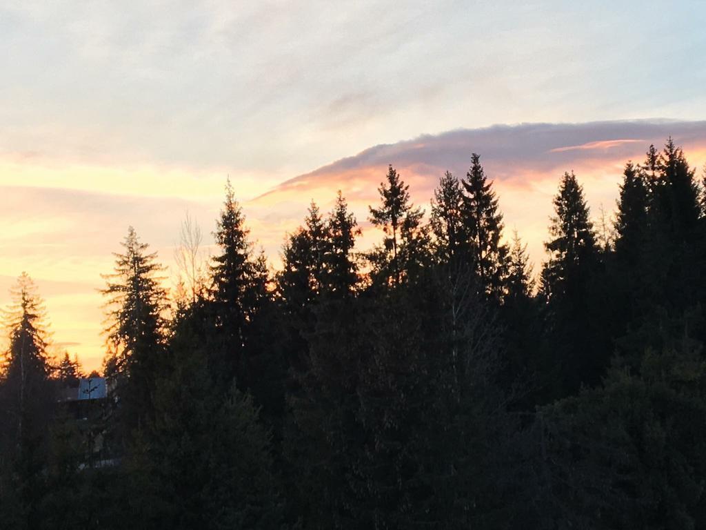 Apartmenty Patris Tatranska Strba Buitenkant foto