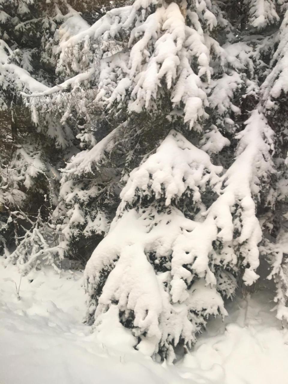 Apartmenty Patris Tatranska Strba Buitenkant foto