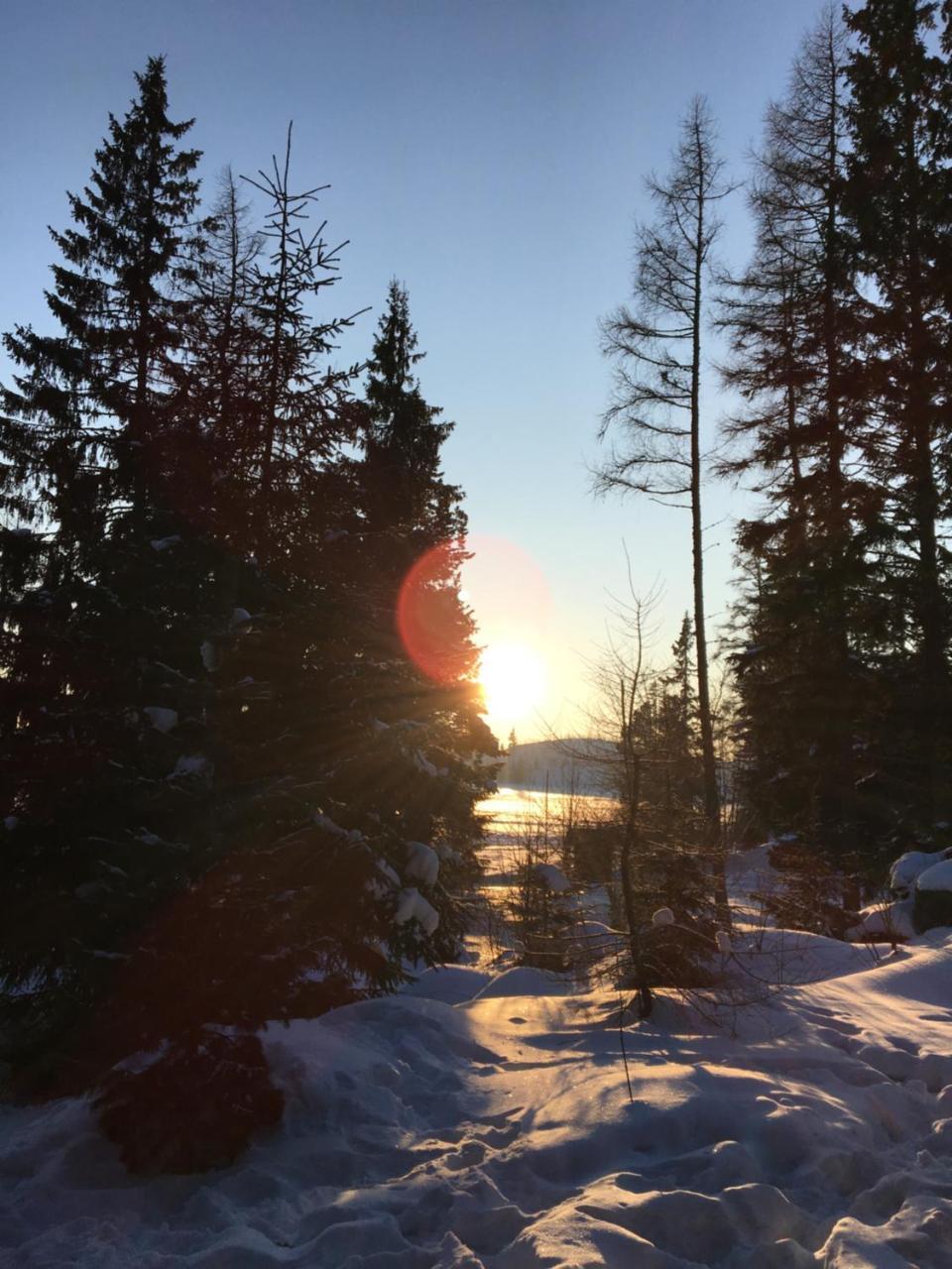 Apartmenty Patris Tatranska Strba Buitenkant foto