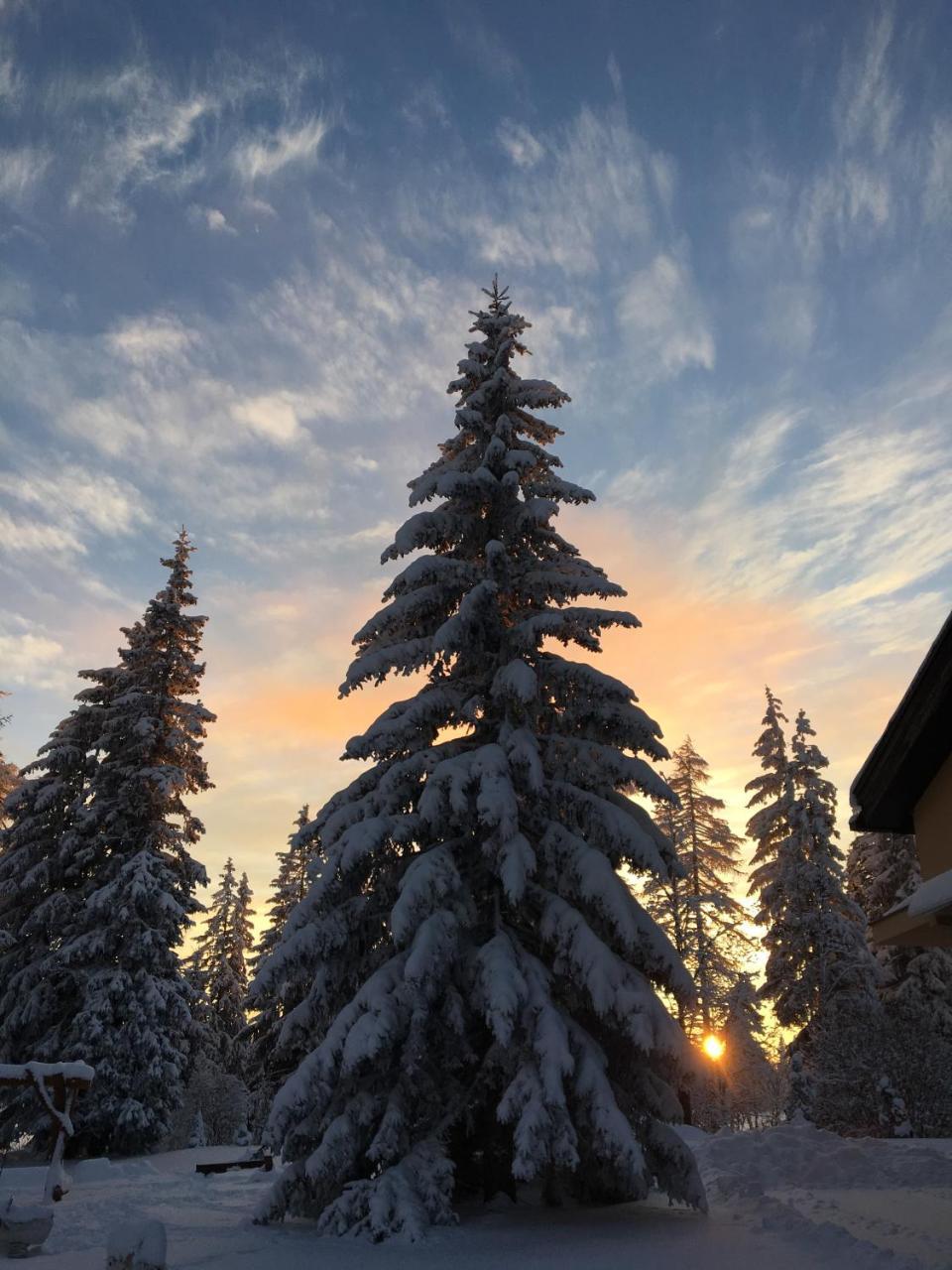 Apartmenty Patris Tatranska Strba Buitenkant foto