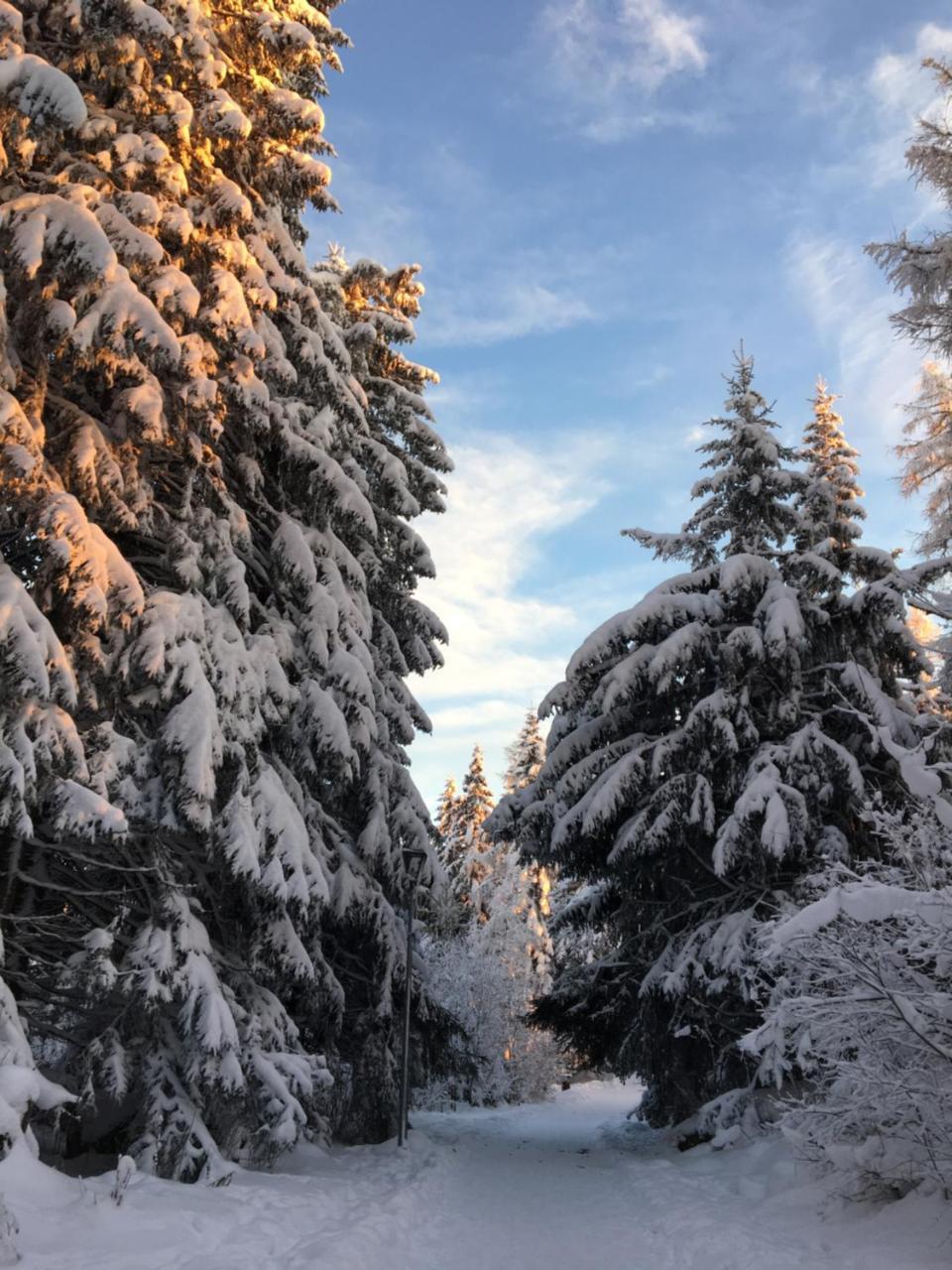 Apartmenty Patris Tatranska Strba Buitenkant foto