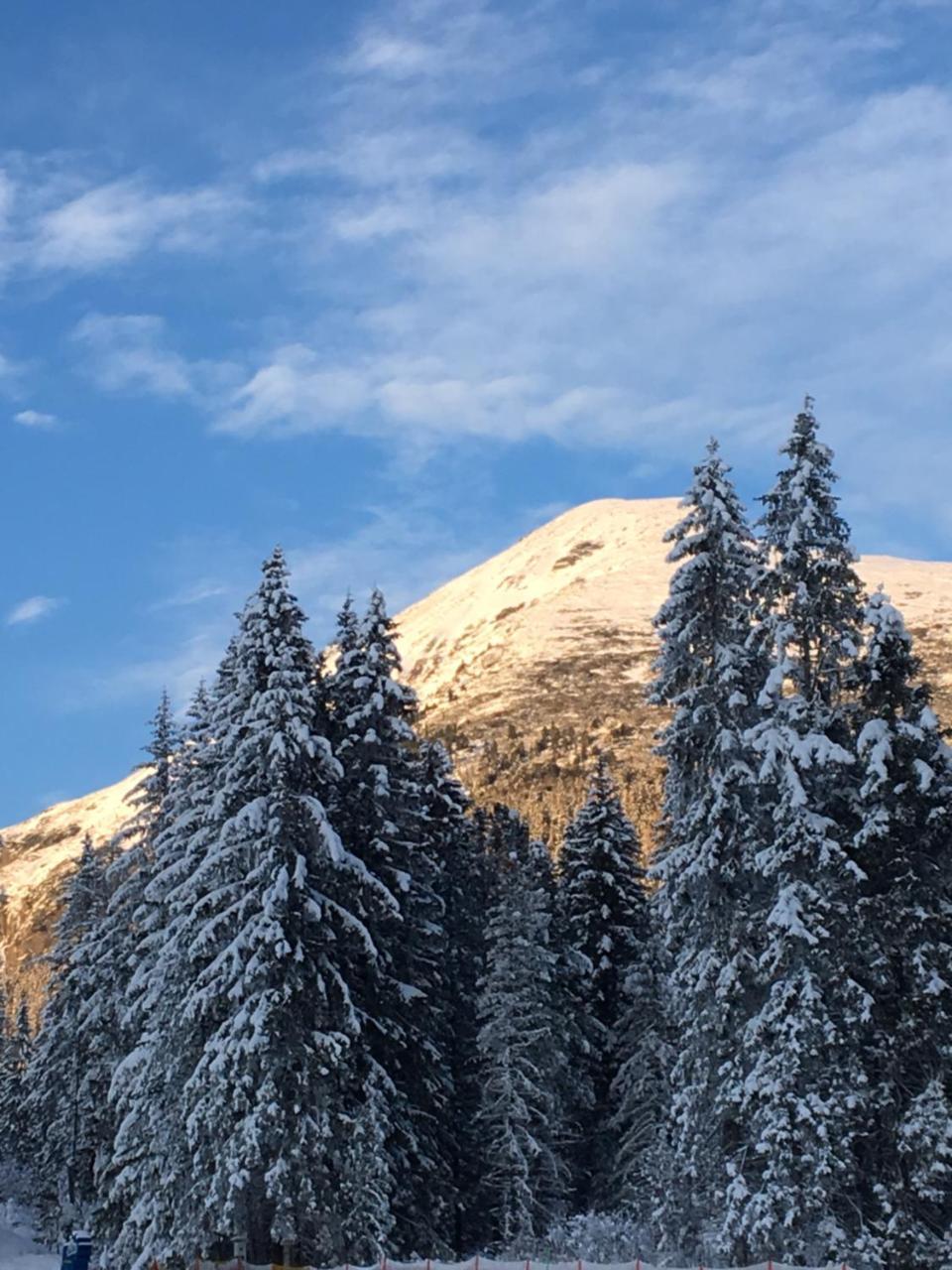 Apartmenty Patris Tatranska Strba Buitenkant foto